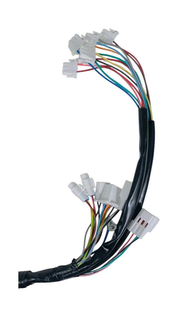 Cablagem principal - Neovolt (We-Ride)