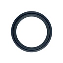 SEAL DUST - FANTIC