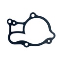 GASKET - FANTIC