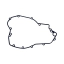 GASKET - FANTIC