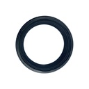 SEAL DUST - FANTIC