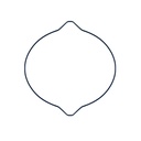 GASKET 2 - FANTIC