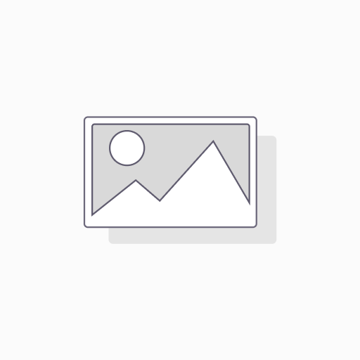BEARING PROTECTION - FANTIC 