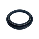 SEAL DUST - FANTIC