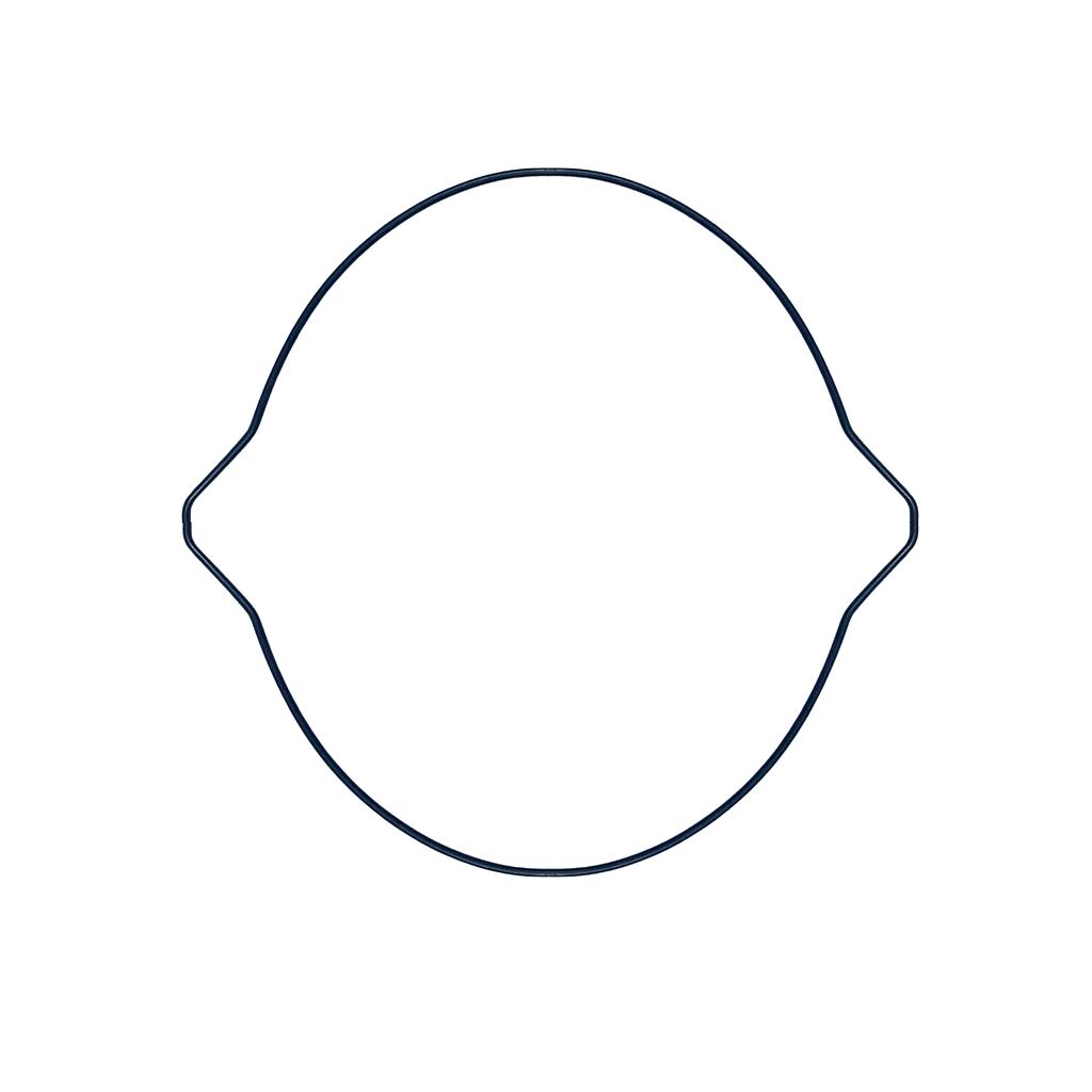 GASKET 2 - FANTIC
