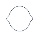 GASKET 2 - FANTIC