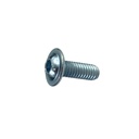 SCREW-SOCKET CONVEX HEAD 6X16 - FANTIC