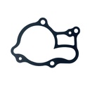 GASKET - FANTIC