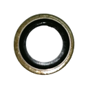 Junta do tampao - Bluroc/Bullit (K157FMI)